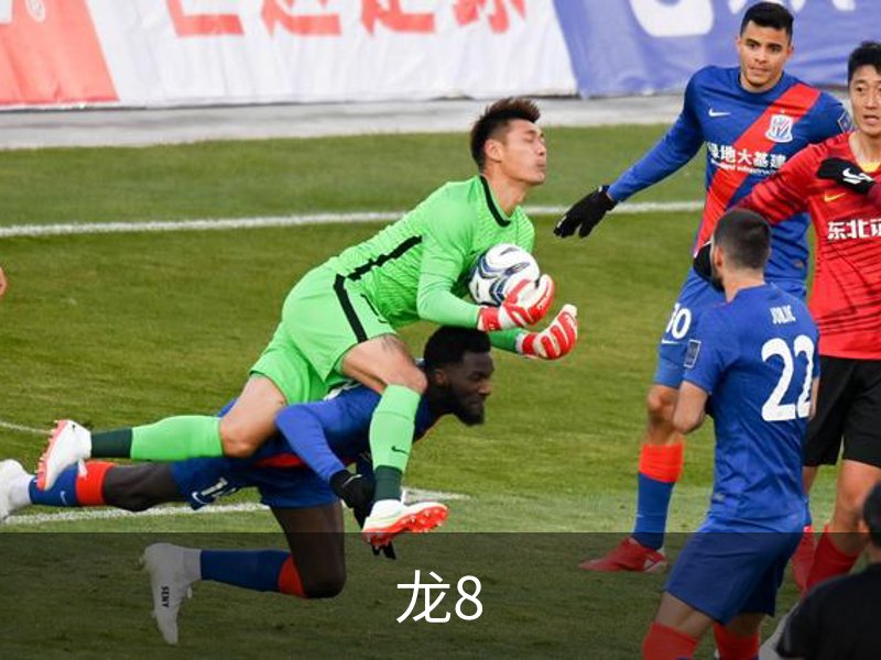 龙8品牌故事